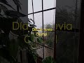 Día de lluvia en La Esperanza, Isla de Tenerife. 25/09/22