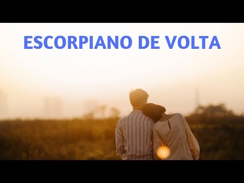 Vídeo: Como Recuperar Um Escorpião