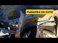 РЫБАЛКА СЕТЯМИ. ПОЛНАЯ ЛОДКА РЫБЫ! Рыбалка на Амуре.