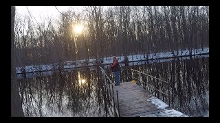 040518 Shore fishing Stephensville Wolf River (Skunked) (TZerb on lake-link)