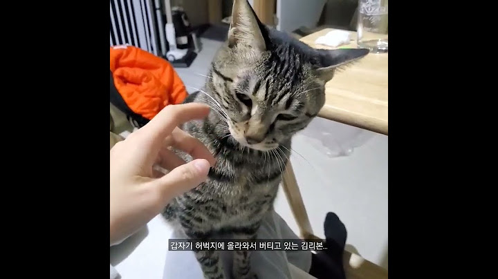 이상한 애교