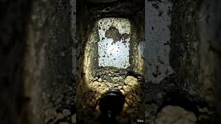 You Are a Cockroach Entering Its Nest