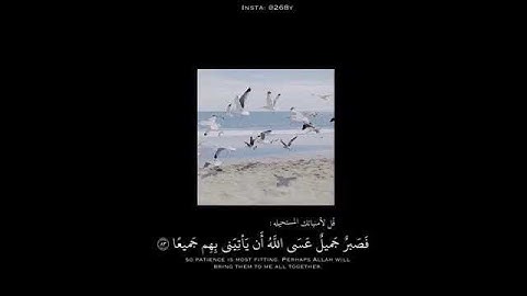الشيخ ماهر المعيقلي سورة يوسف {فصبر جميل} حالات واتس آب آيات قصيرة