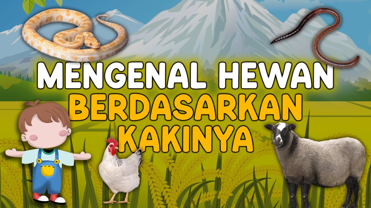 Belajar Mengenal Hewan dilihat dari Kakinya - Video Edukasi Anak