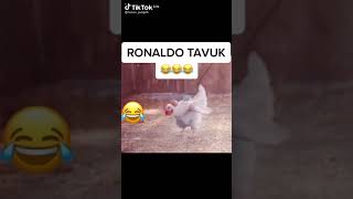 RONALDO TAVUK Resimi