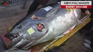 【速報】大間マグロに3604万円 豊洲初競り、前年の2倍超