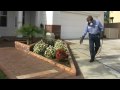 Pest Control Service - Antimite Termite &  Pest Control - Residential/Commercial Pest Control