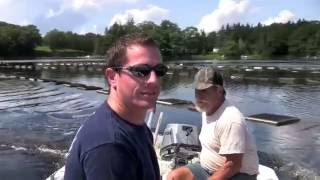 Bagaduce River Oyster Co.