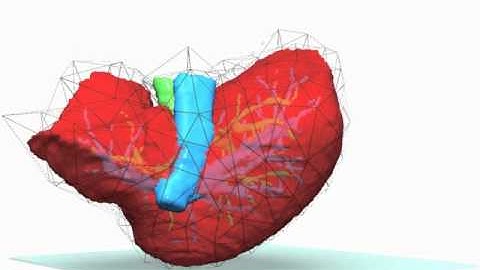 Coarse-graining of a virtual liver