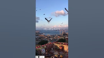 الآية 9 - سورة المزمل