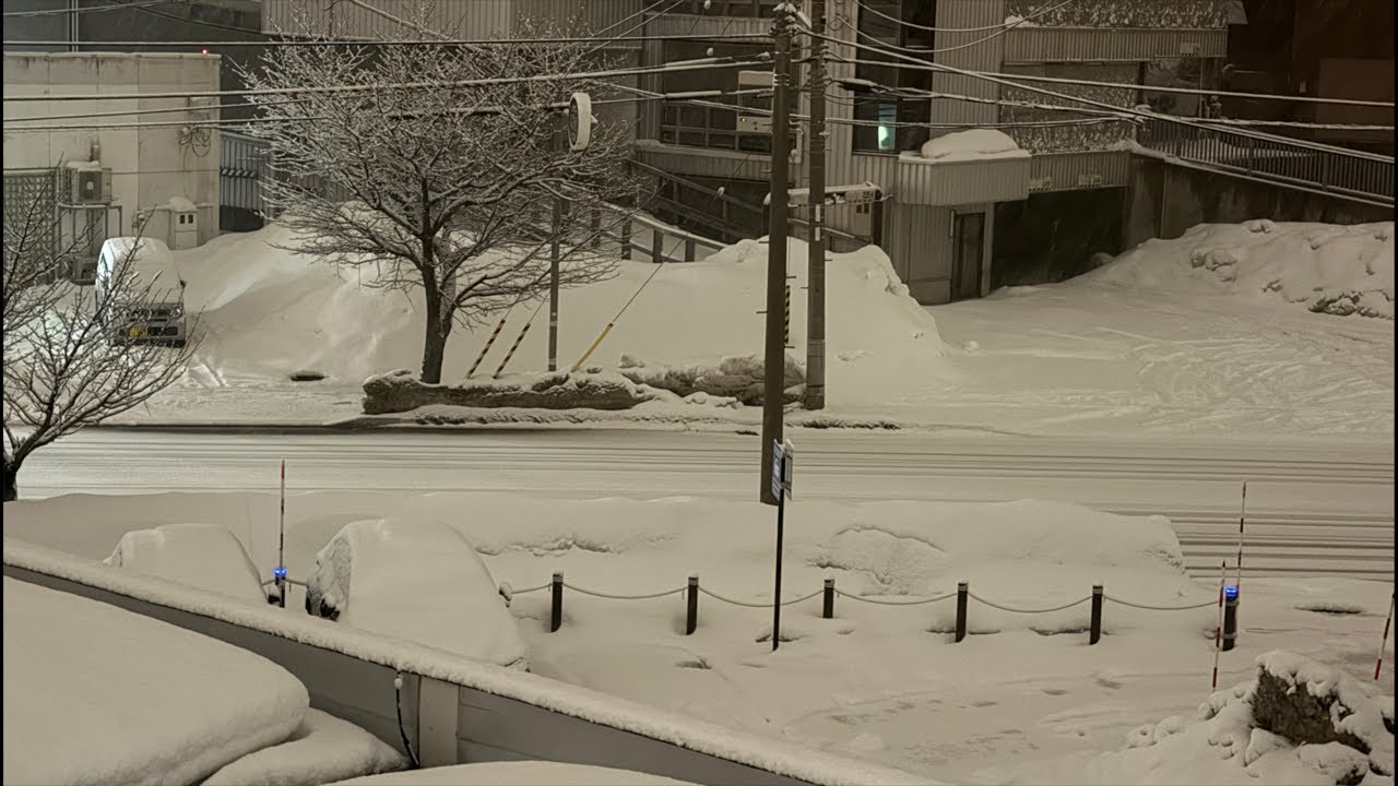 Live配信】札幌にまた雪よ！どれ位積もるか…heavy snow in Sapporo, Hokkaido (遅くなったら寝ます🙇‍♀️)