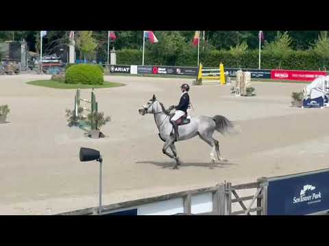 Domino van Klapscheut 135 CSI3* Opglabbeek