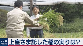 上皇さまから託された稲作…皇室ちょっといい話(７)