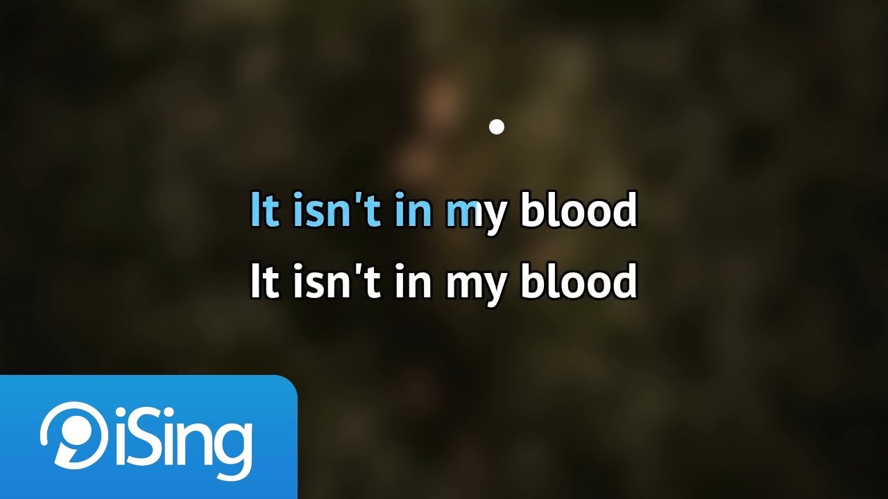Shawn Mendes In My Blood Karaoke
