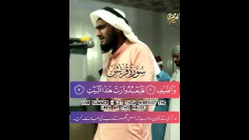سورة قريش || القاري امير حمزه || صلاة التراويح