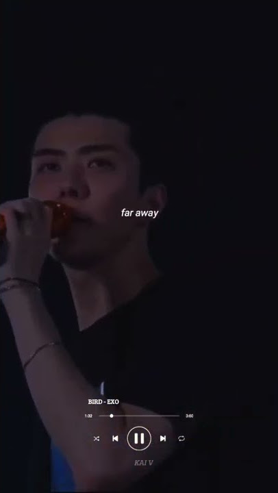 far away 🕊  #bird #exo #exolirik #storywa #shorts