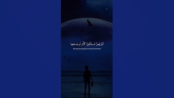 اكتب شيء تؤجر عليه 💚🎧 #القارئ ياسر الدوسري