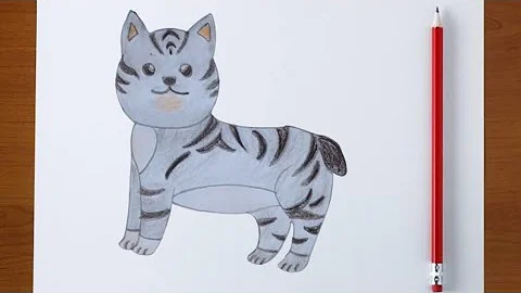 Video 8251231: cute manx cat, cute cat drawing, cat learning