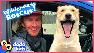 Sweet Dog Rescued From Woods Has BIG Surprise For Hero | Rescued! | Dodo Kids