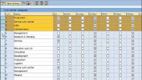 Define Cost Center Categories