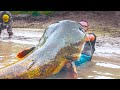 15 Abnormally Large River Monsters Ever Caught