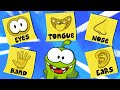 Learn Five Senses with Om Nom | Learning Videos For Toddlers | Learn With Om Nom