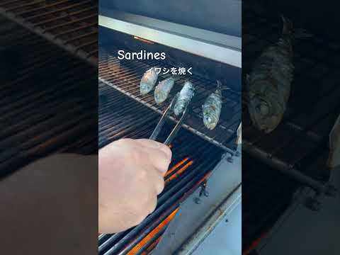 Grilled sardines-イワシ#bbq#yummyfood #sardine#美味しいもの #イワシ#バーベキュー#please_subscribe