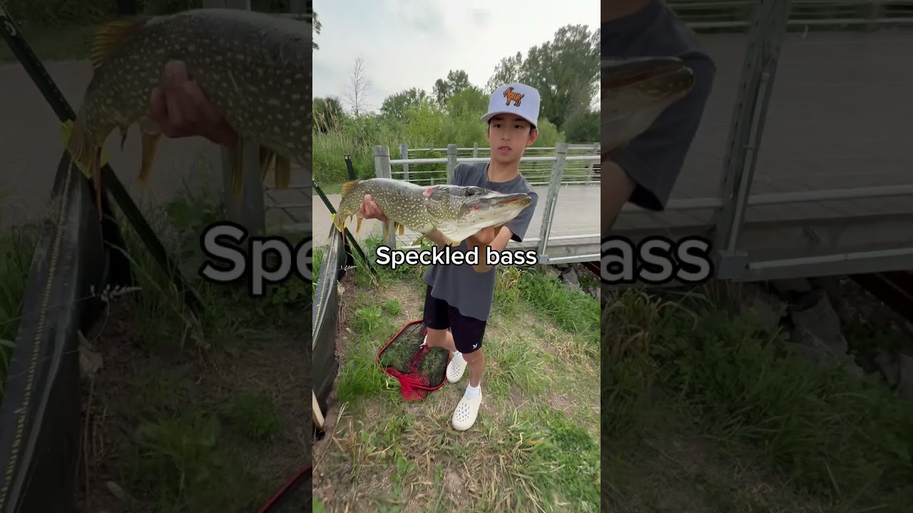 I catch a ton of bass 