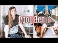 POOR BENJI ● CASUAL DAY IN THE LIFE VLOG ● This Crazy Life Vlog