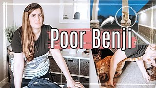 POOR BENJI ● CASUAL DAY IN THE LIFE VLOG ● This Crazy Life Vlog