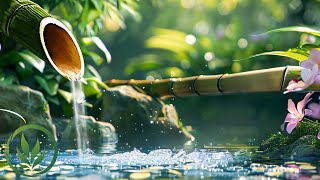 Relaxing piano music & nature sounds | Bamboo, calming music, meditation, water sounds