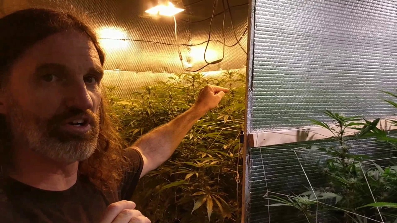 Tour of Spectrum King LEDs Facilities!