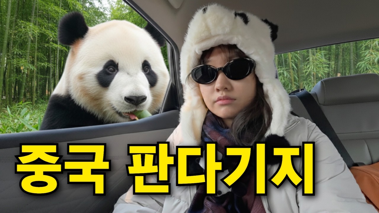 중국에서 관리하는 특별한 멸종위기 동물, 전세계인을 홀린 판다가 지배하는 중국 '청두' [🇨🇳중국6]