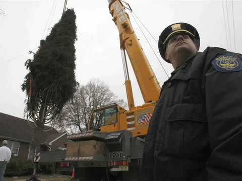 Hamilton tree headed for Rockefeller Center called...