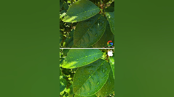 📸 Google Pixel 9 Pro XL VS Iphone 15 Pro Max Camera Test!