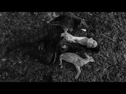 Dead Fawn Scene from Dead Man (1995) HQ