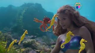 If Sebastian was done by a born Jamaican. #juliemango #littlemermaid Profile