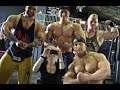 Shirtless model boys pumping iron | PT Vatanen