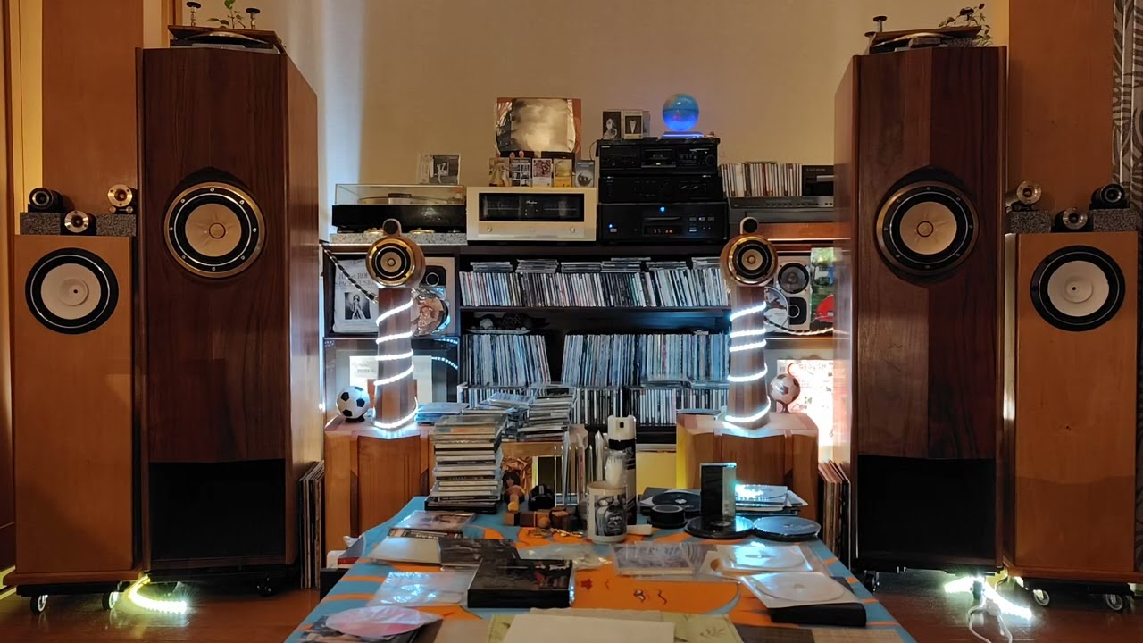 ネッシーII（FOSTEX 6N-208SS）ブランドX