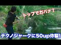 テクノトップシリーズ復活してぇ！泣 - YouTube