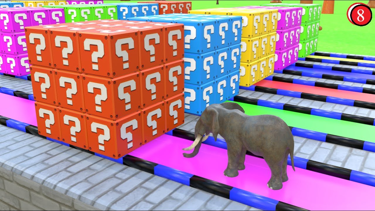 [Long Slide Game] with Hippo Monkey Bear Elephant Cat 3D Animal Game Funny 3D Animals. #8