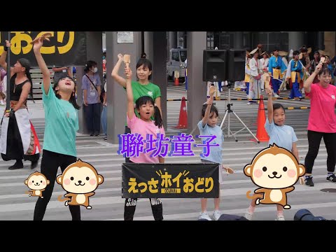聯坊童子　小田原えっさホイおどり 2023　観光交流センター前広場会場　2023年9月16日（土）