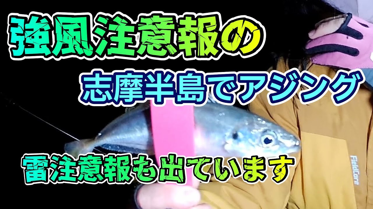 202511.28 強風注意報の志摩半島でアジング