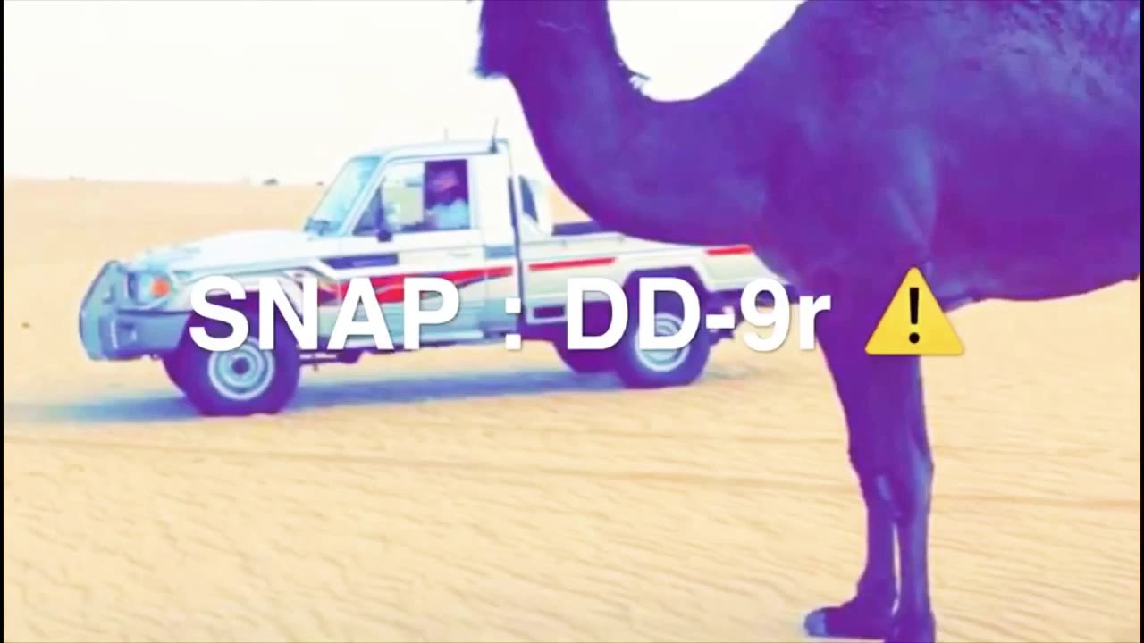 شايبب لا ثارت الهيجاء|🖐🏼😎.