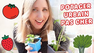 🍅 MON POTAGER URBAIN PAS CHER DÈS LE MOIS DE MARS : plantation & conseils 👩🏼‍🌾