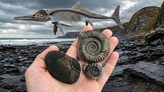 🔥 I'M GIVING AWAY 3 RARE FOSSILS! 🦖 | Yorkshire Coast Giveaway 🔥 I'M GIVING AWAY 3 RARE FOSSILS! 🦖 | Yorkshire Coast Giveaway
