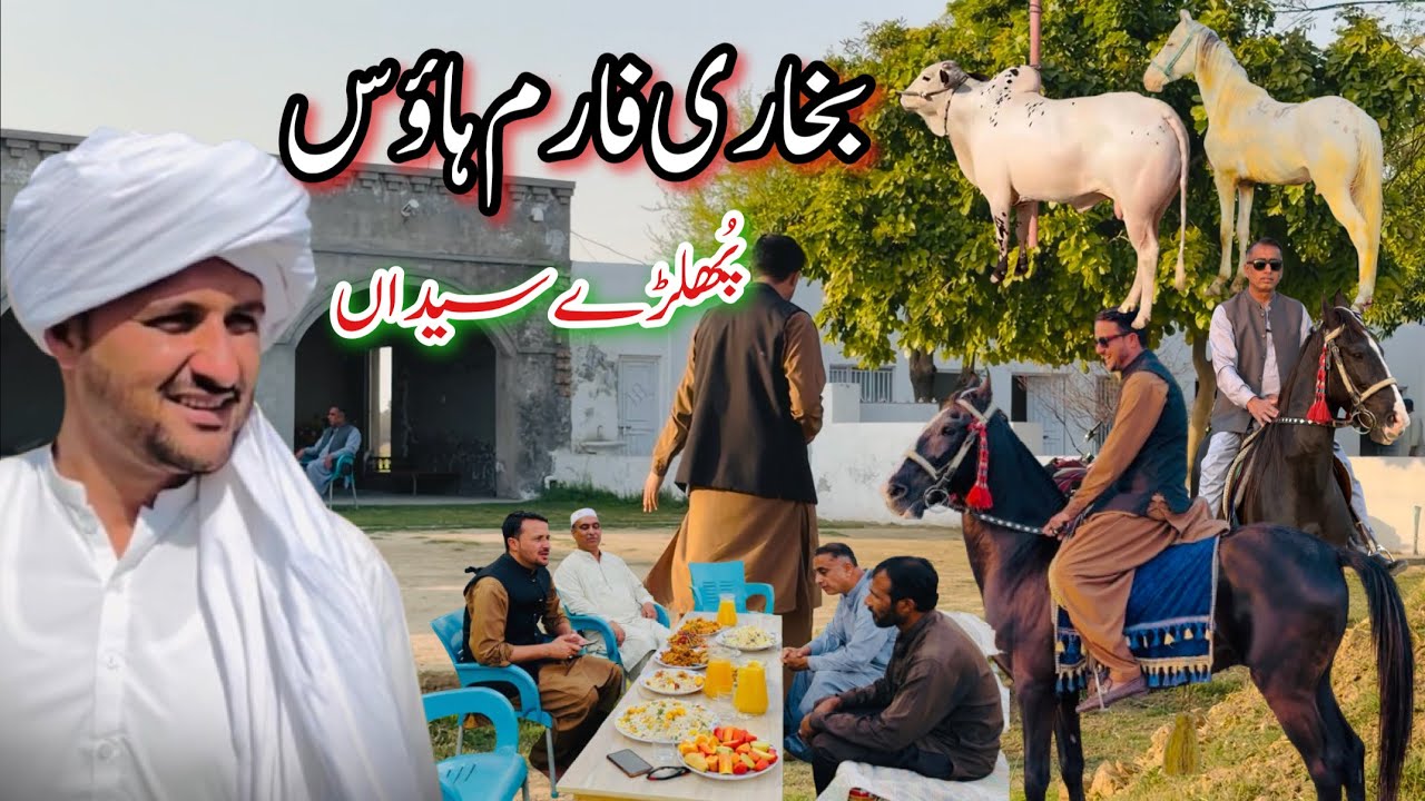 Bukhari Farm House Phulray Syedan Sohawa || Explore Potohar