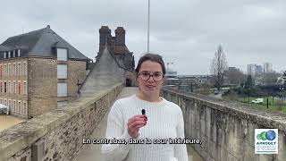 Laureates 1Ere Place Le Château Des Ducs De Bretagne- Aadp Aproget