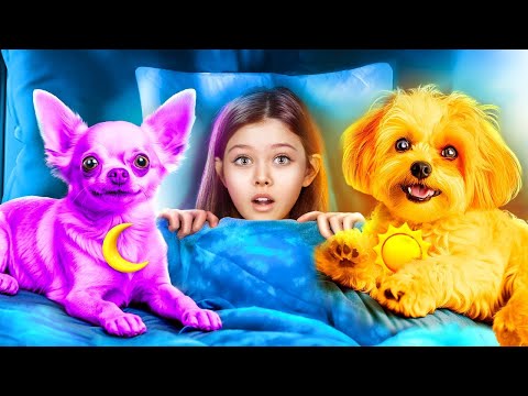 Wij Bouwen een Tiny House! Pomni vs CatNap! Poppy Playtime 3!
