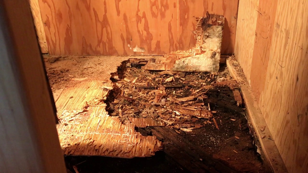 My Rotten Shed Floor - YouTube
